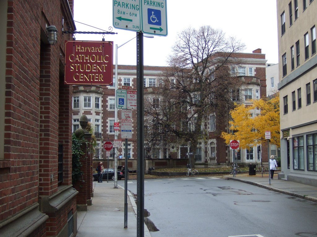 DSCF0489BowStreet Bow Street Cambridge MA November 15 2008… Tess