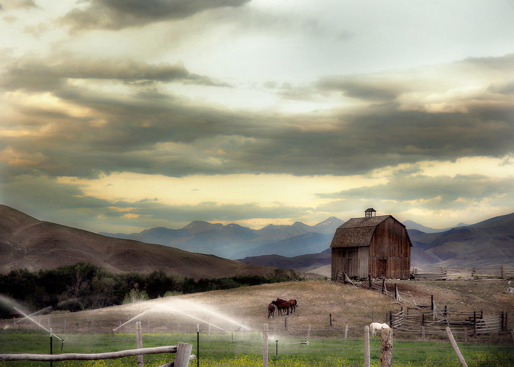 Farm life Challis, Idaho Tonya Doughty Flickr