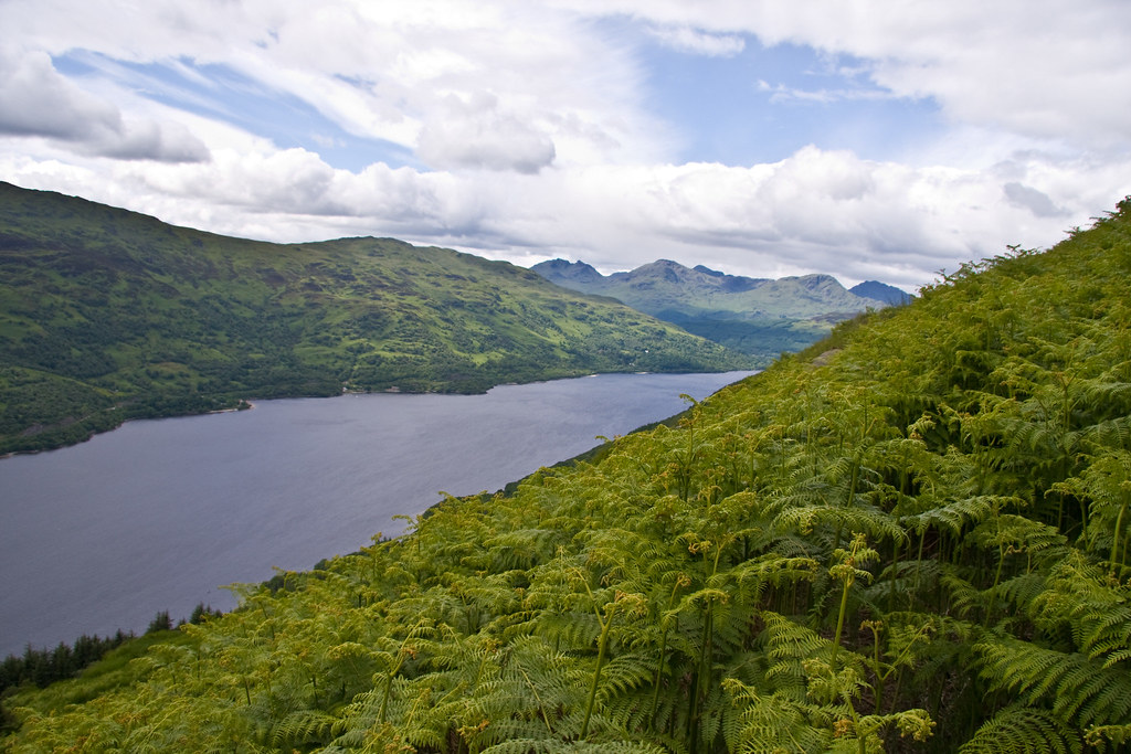 Ben Lomond (Walking Against Their Will)(167 of 199) Flickr