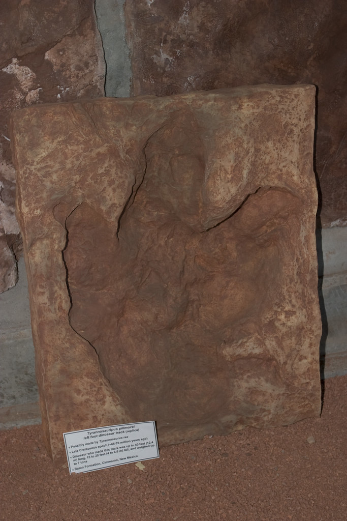 TRex track This was a replica TRex track that was there … Flickr