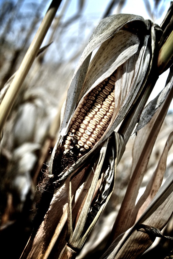 141 Little Suamico House 26 MorrowLess Flickr