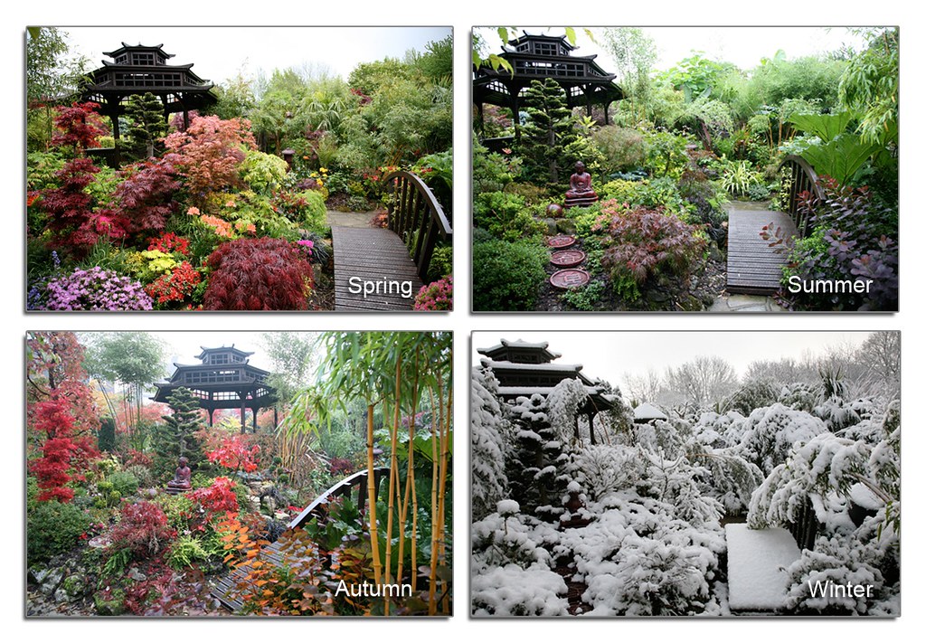Four Seasons Garden Pagoda view spring summer autumn winter a photo