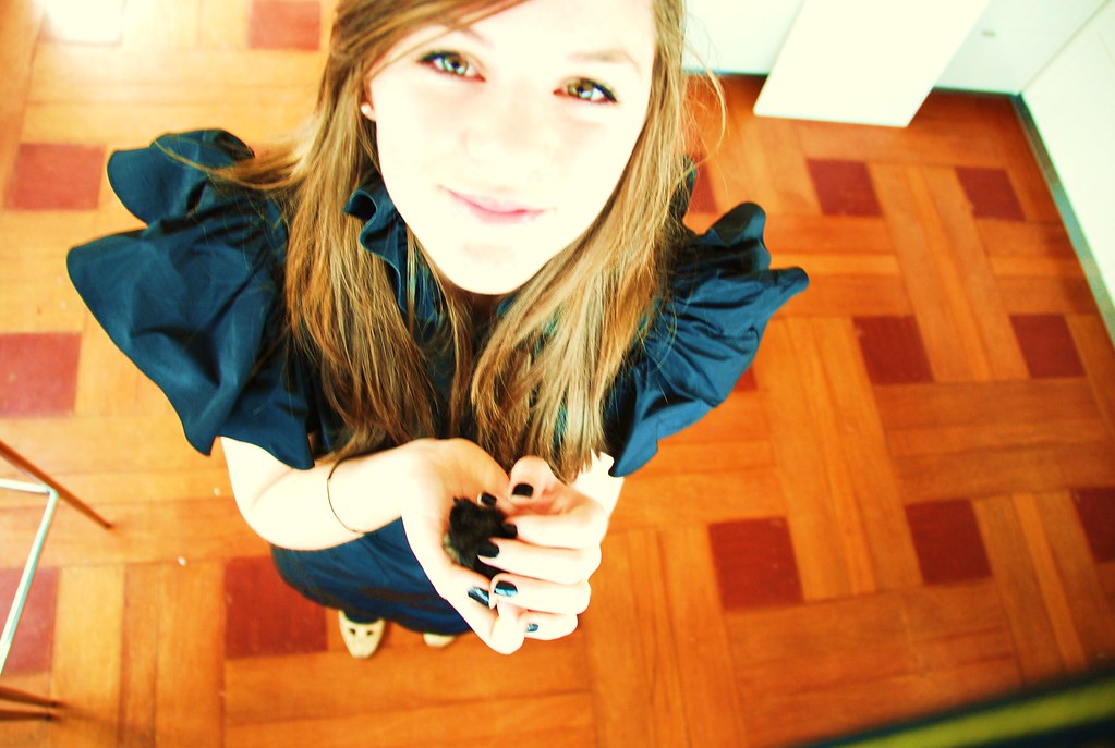 my pet chicken it died the next day ='( it was soooo cute