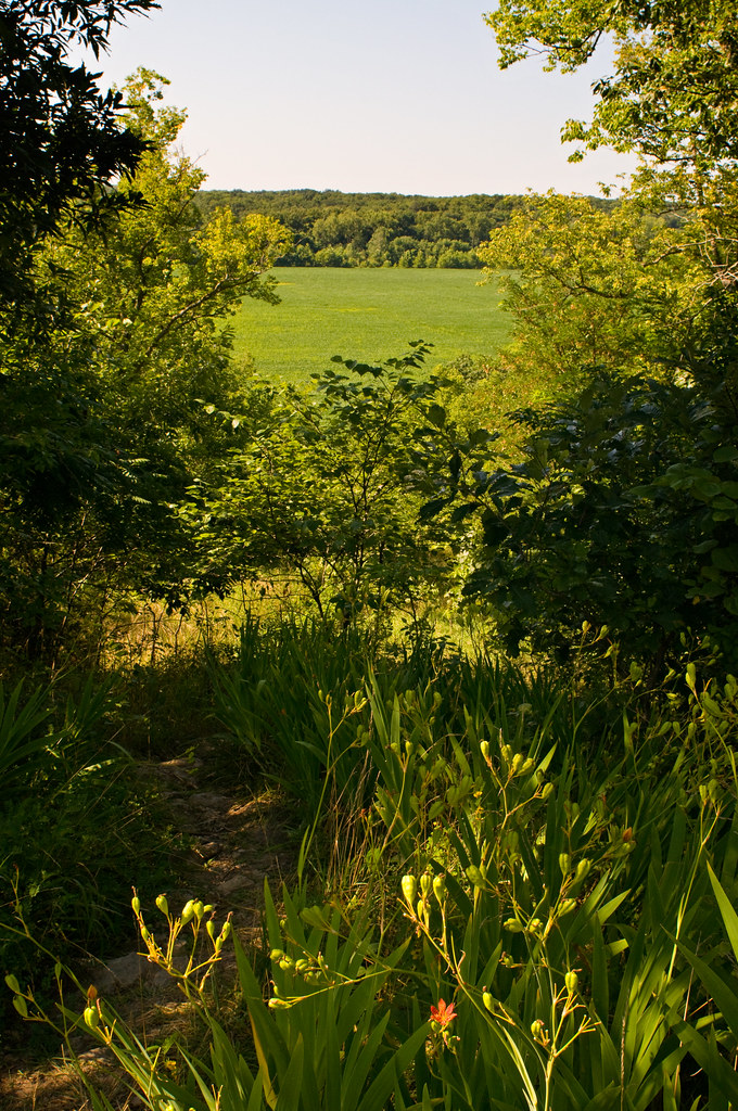 Elevation of Jameson, MO, USA Topographic Map Altitude Map