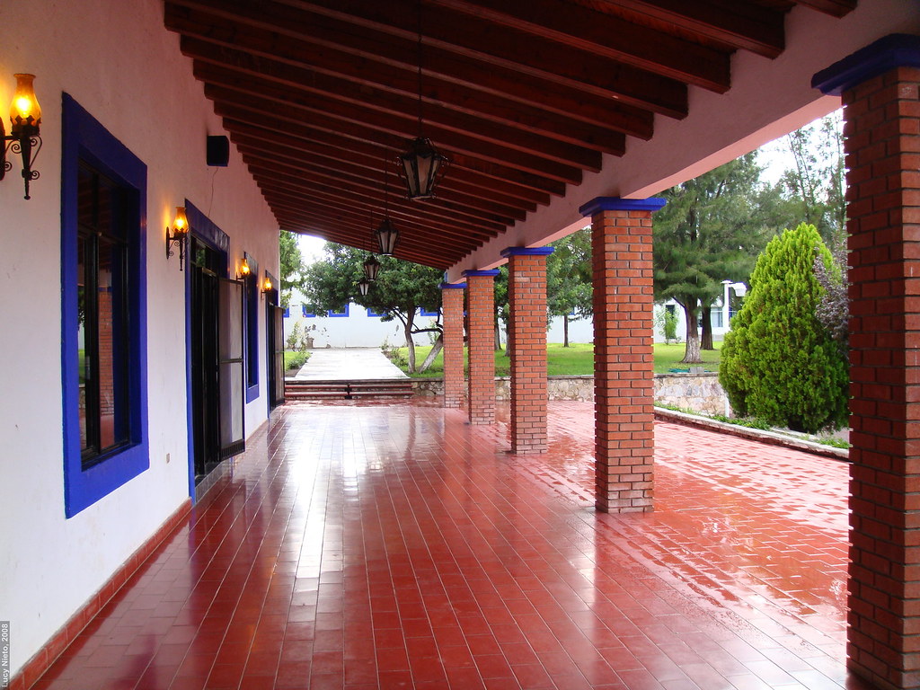  Matehuala SLP México 2008 3390 Lucy Nieto Flickr