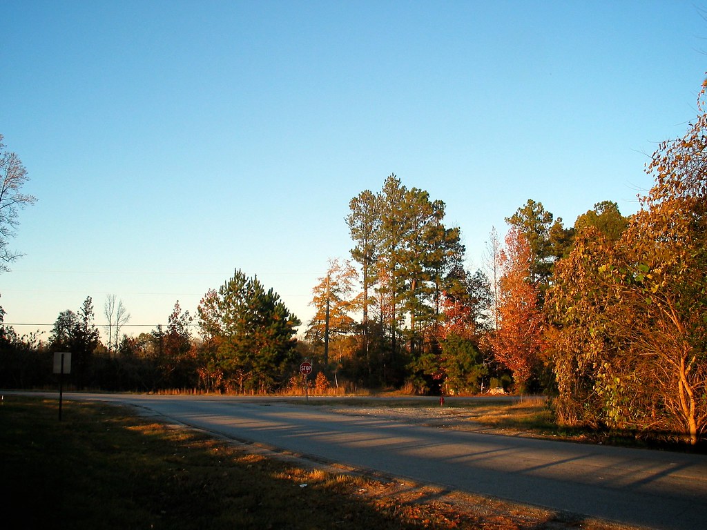 Intersection of GA16 and Martin Mill Road Riding around on… Flickr