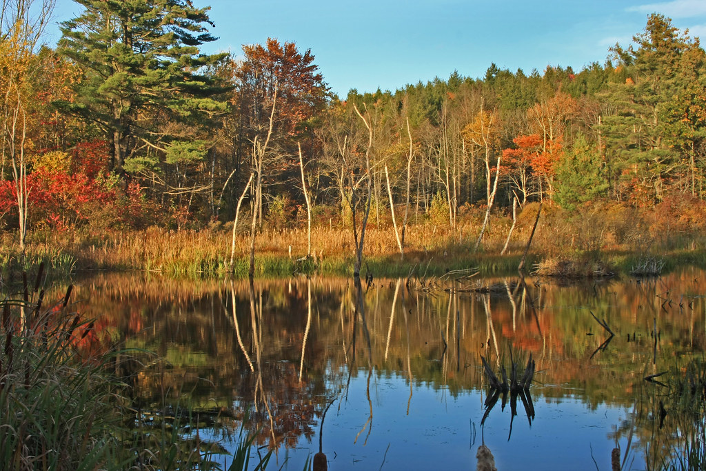 Elevation of Fisk Road, Fisk Rd, Worthington, MA, USA Topographic Map