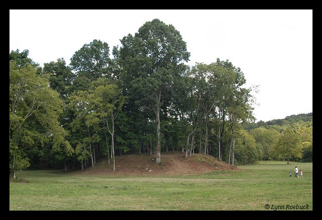 Sellars Mound, Sellars Farm State Archaeological Area Flickr