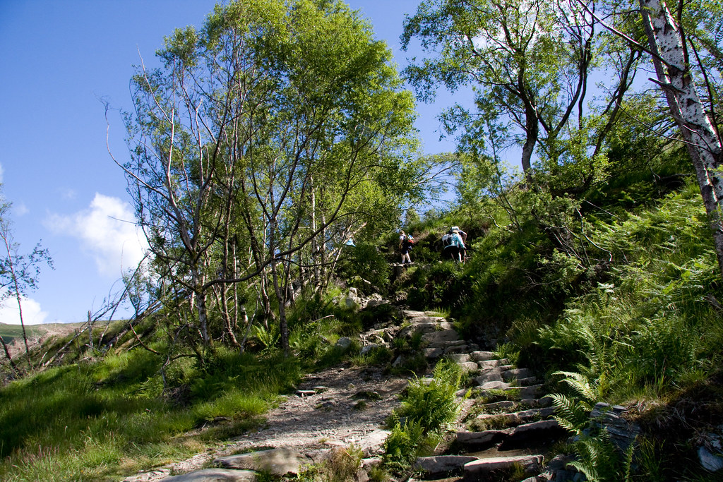 Ben Lomond (Walking Against Their Will)(25 of 199) Flickr