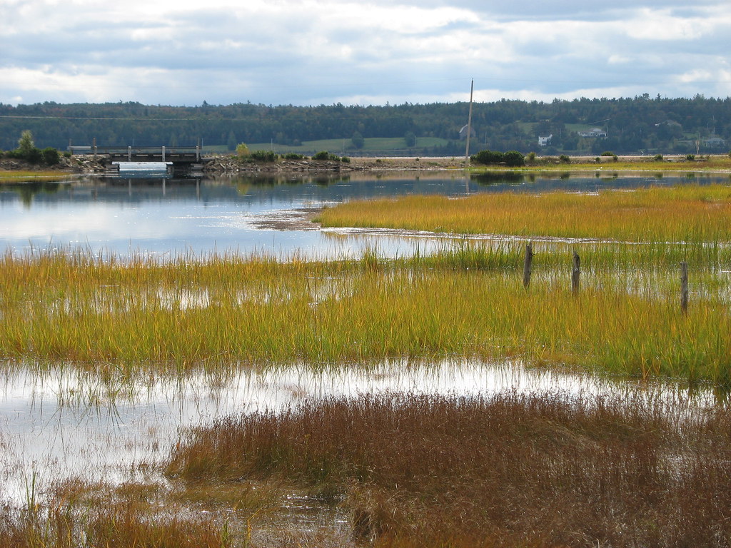 Marshland Brown's Bay, North Wallace near Wallace, Nova Sc… Flickr