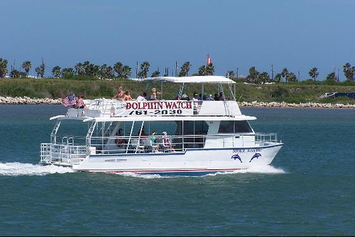 Dolphin Watch Half a dozen companies on South Padre