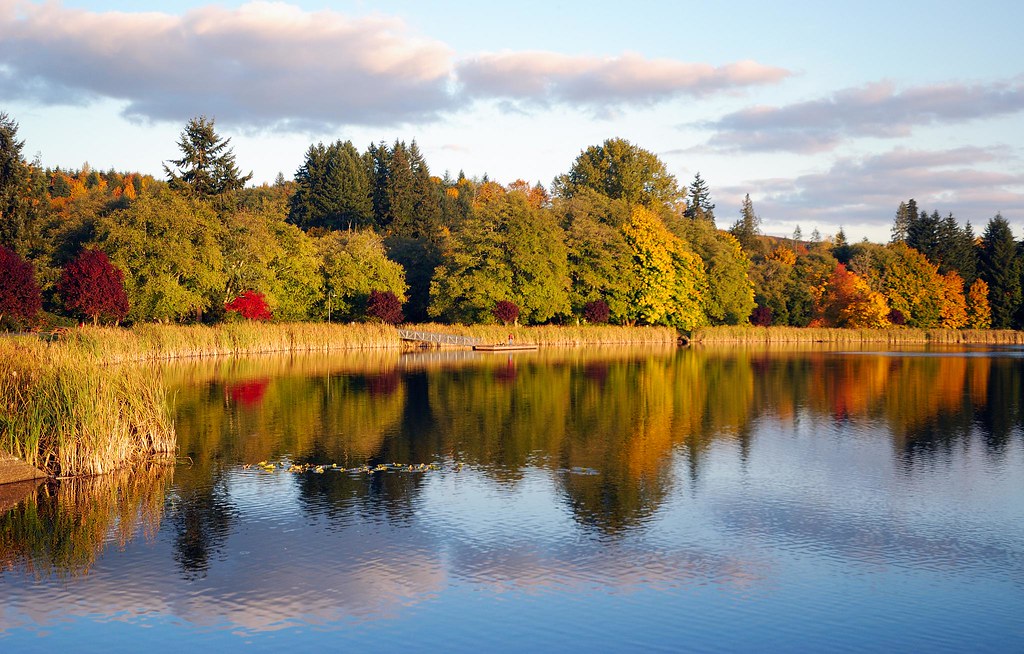 102408 087 Vernonia Mill Pond Vernonia Oregon Chris Updegrave