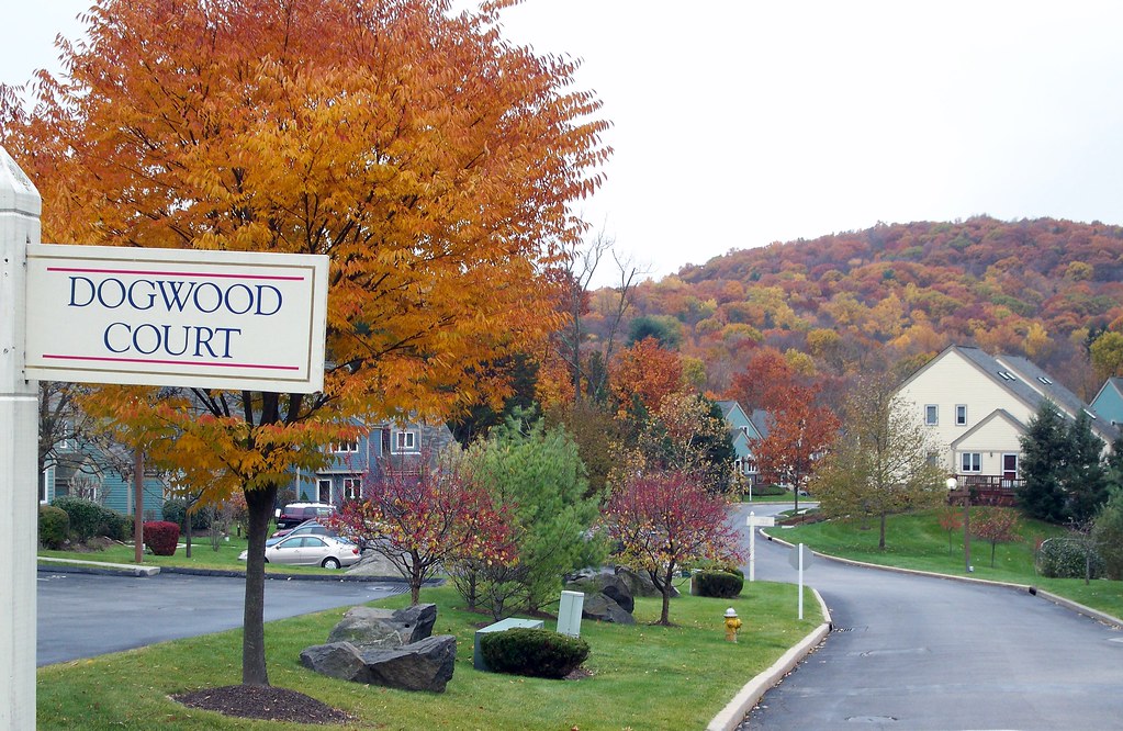 Dogwood Court at Chapel Hill in Peekskill Dogwood Court in… Flickr