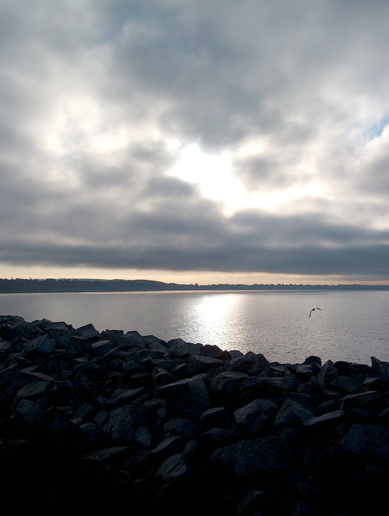 Beach, White Rock, BC 019 Briiish Columbia White Rock Area… Flickr