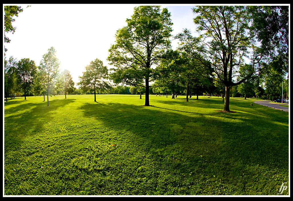 Late Afternoon Sun at the Park of Roses in Clintonville, b… Flickr