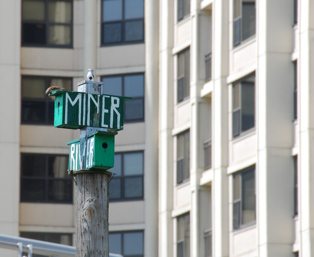 Miner Street and River Road, Des Plaines Only in Des Plain… Flickr