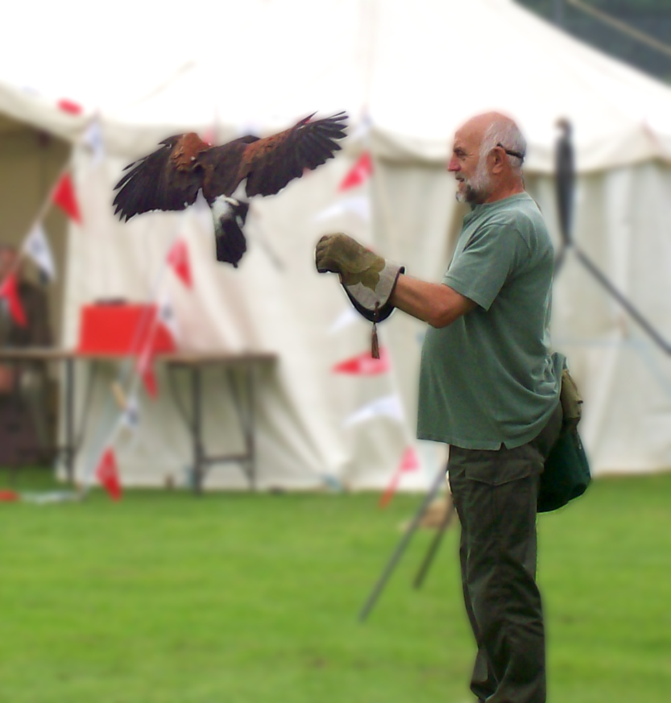 Basing Carnival 21 Jun 2008_70 A falconer at Old Basing Ca… Flickr