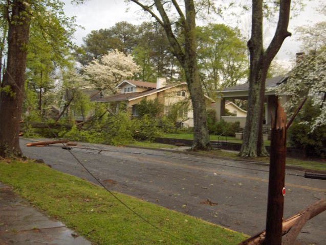 Damage from S. 5th Street Gadsden This tree completely clo… Flickr