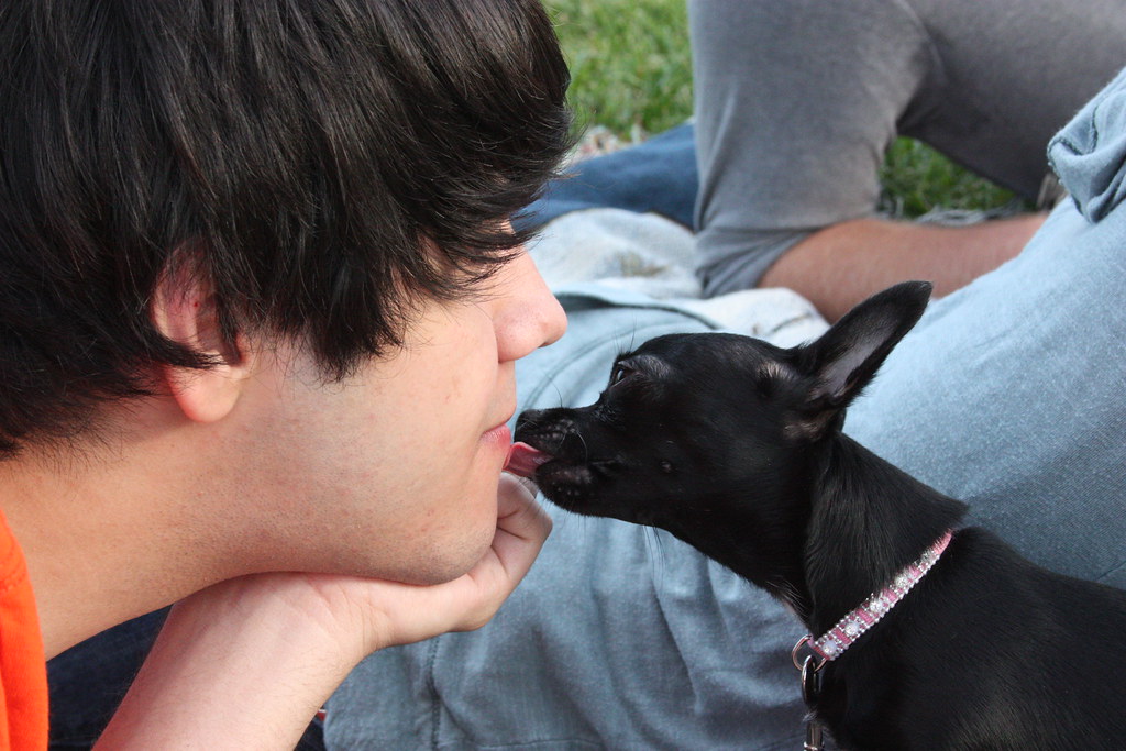 beastiality EmilyElizabeth. Flickr