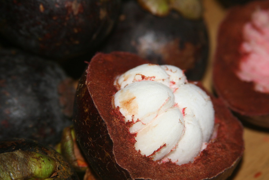 Mangosteen ( Garcinia mangostana ) In the Philippines, mos… Flickr