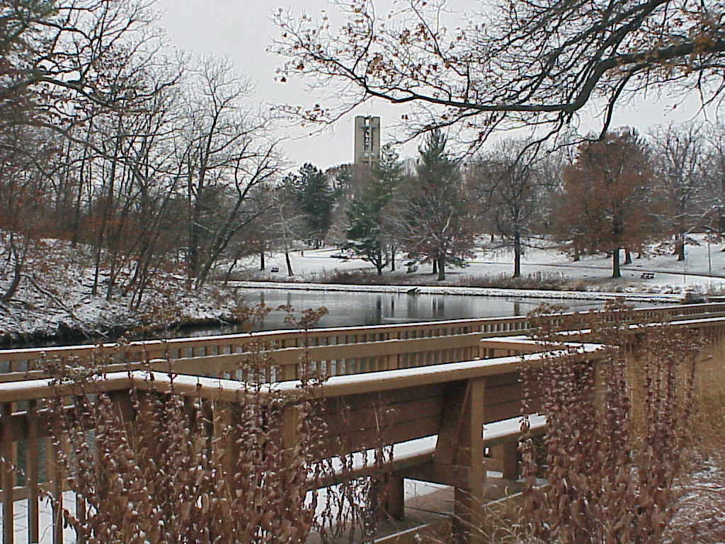 Springfield IL First Snowfall in Washington Park Flickr