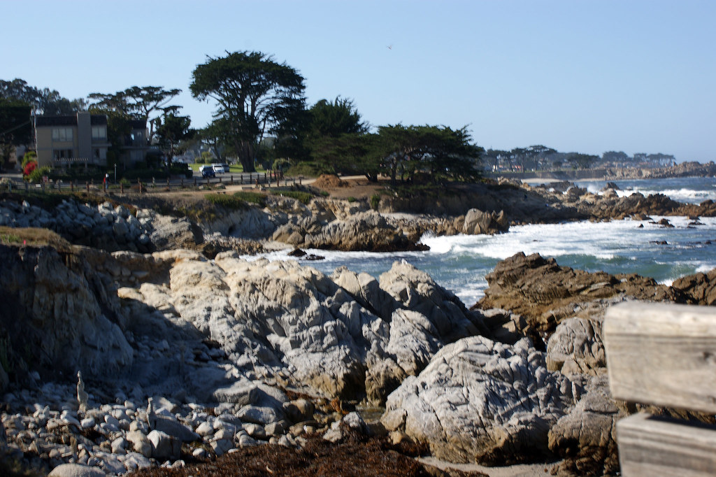 Berwick Park The view of Berwick Park from the pedestrian/… Flickr
