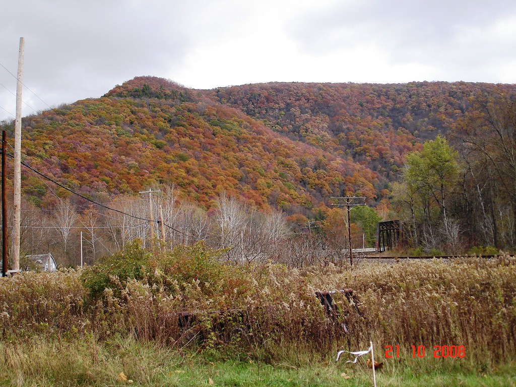 Driftwood PA, Appalachian Mtns 1 Claude ROUQUET Flickr