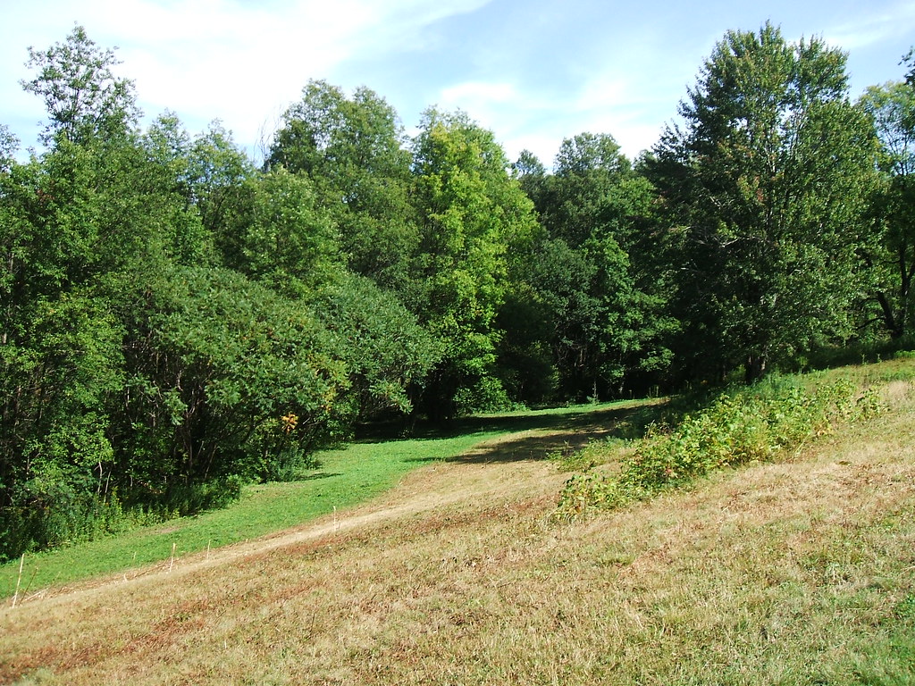 Oriskany Battlefield Looking down into a section of the ra… Flickr
