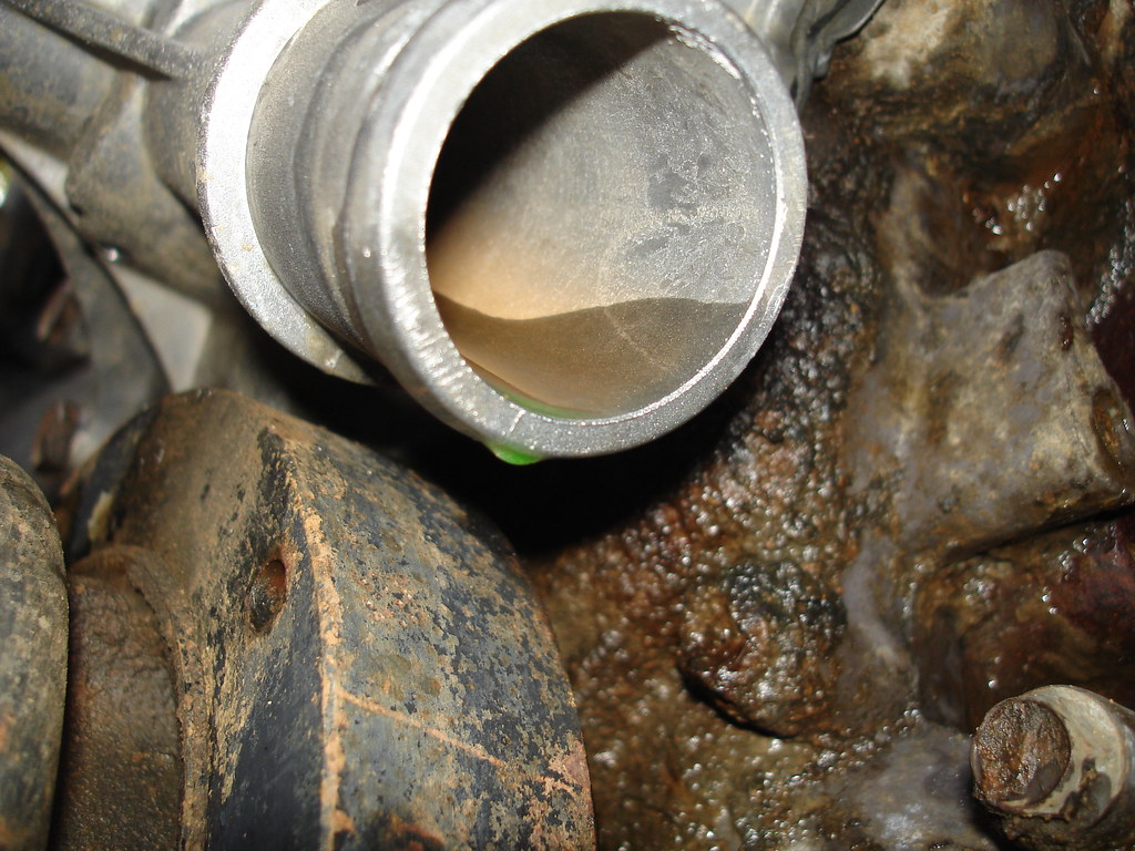 F150 Timing Cover Leak Driver's Side This is on the driv… Flickr