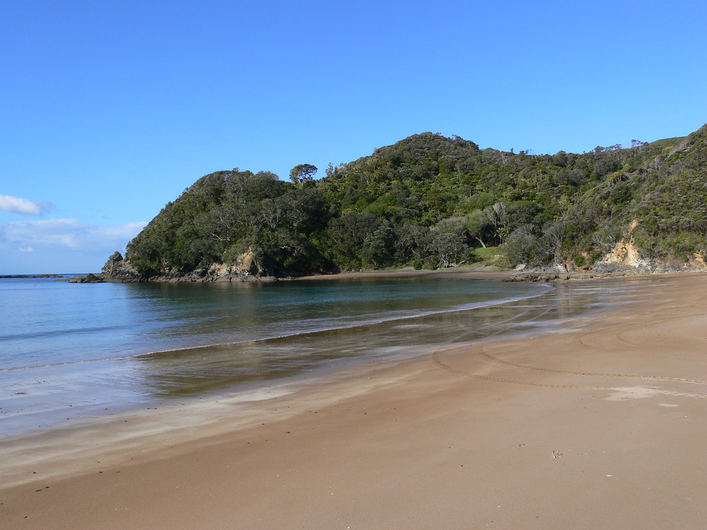 Little bay, North East Coromandel I never met anyone on th… Flickr