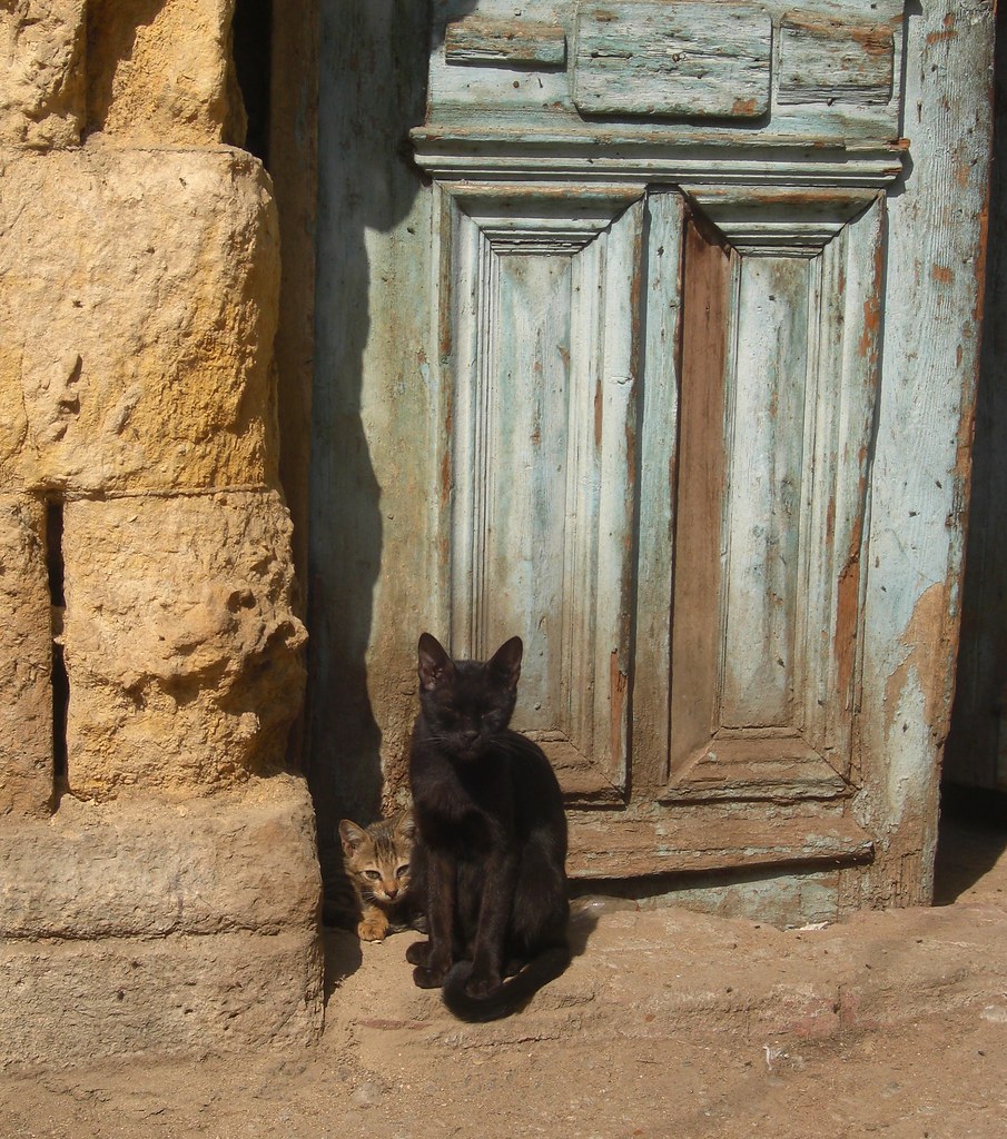A pair of cats guard a wooden doorway in the heart of the … Flickr