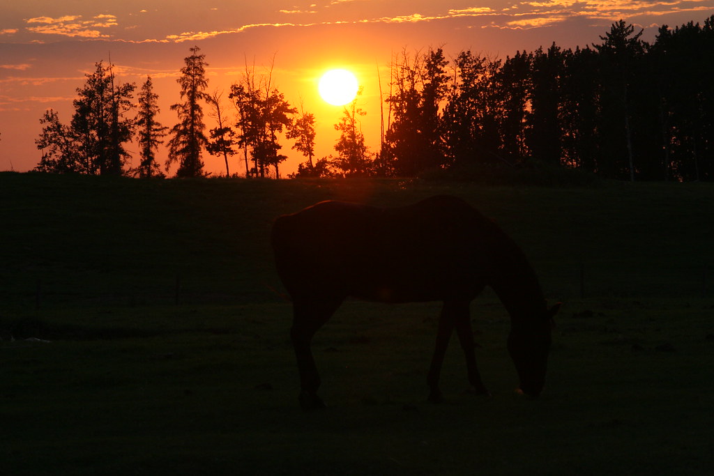 Untitled Chance Everett Flickr