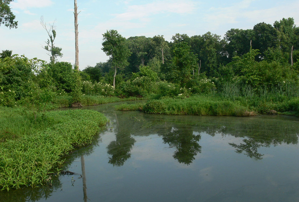 Bayou Meto Arkansas Linda Tanner Flickr