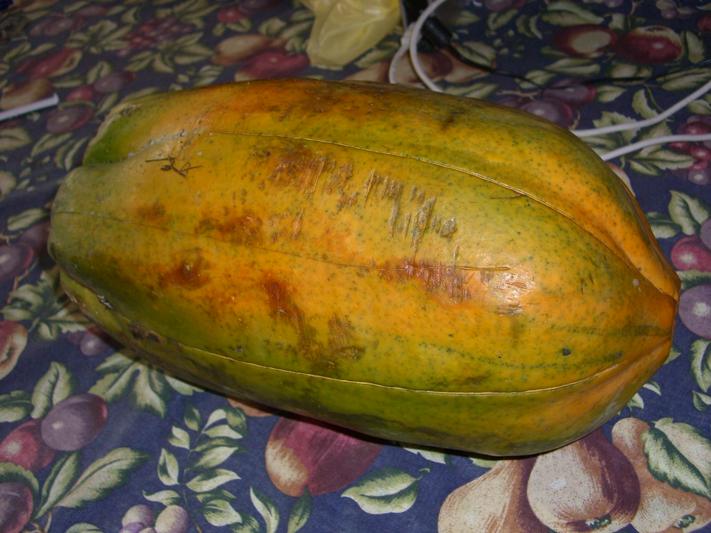 A GIANT PAPAYA / PAPAYA GIGANTE !!!!!!!!!!! Please don't u… Flickr