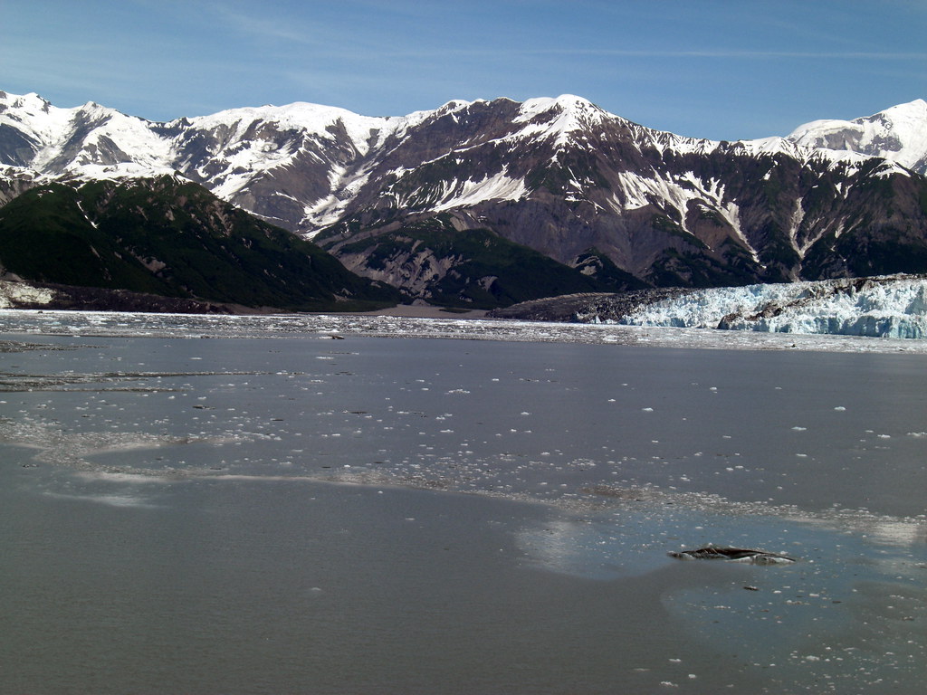 Hubbard Glacier Glacier day! We approached, and at our clo… Flickr