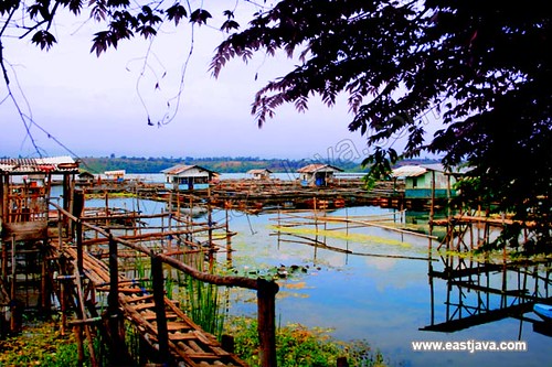 Obyek Wisata Ranu Grati Pasuruan Tempat Wisata Indonesia
