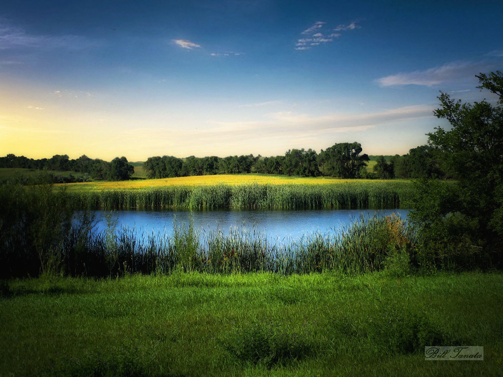 Farmland waters Stutsman County, North Dakota. Bill Tanata Flickr