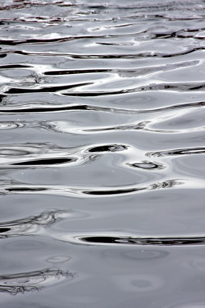 Let's make the water turn black.... disownedlight Flickr