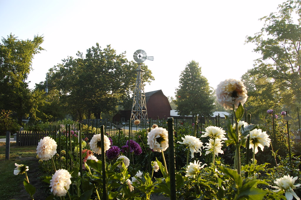 flowers and barn at bonnyville mills markbajekphoto1 Flickr