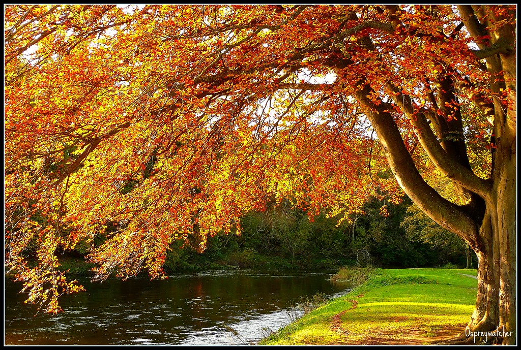 Flickriver Photoset 'Autumn Almanac' by j.imac