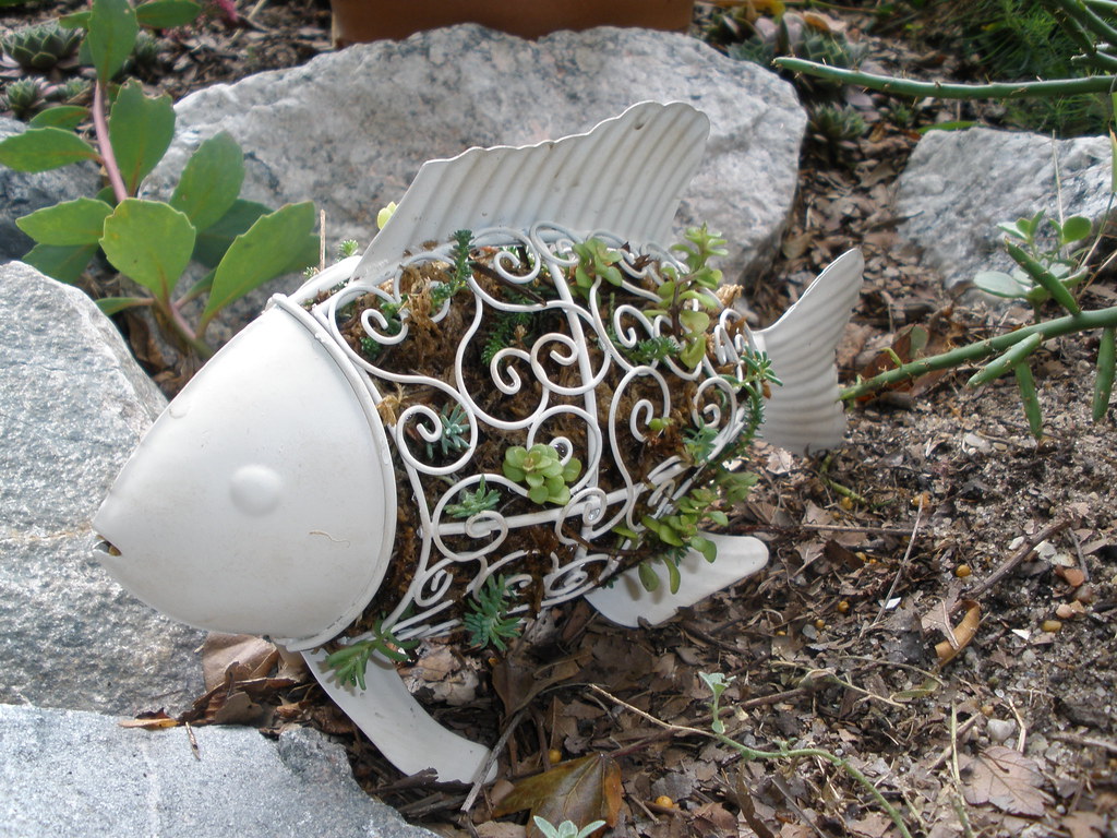 Topiary Fish Kristin Rogers Flickr