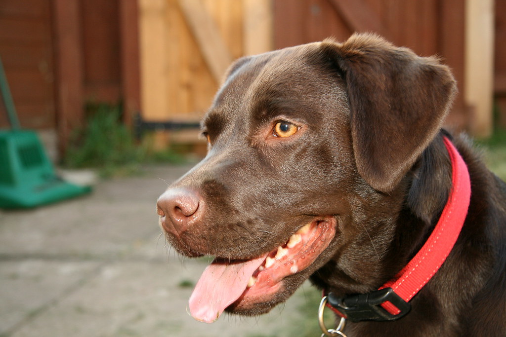 Frankie Neil Barnwell Flickr