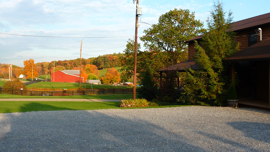 P1010563 Ricketts Glen, Pa Steve Flickr