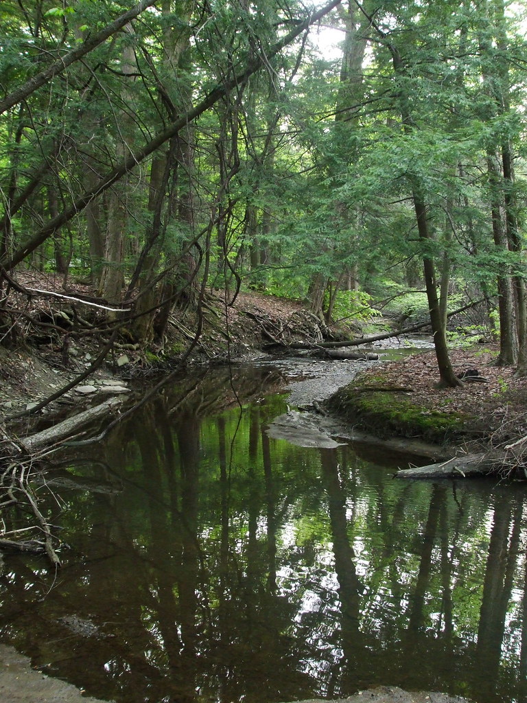 Enchanted Creek ♡♥Ashlynn's Dreaming♥♡ Flickr