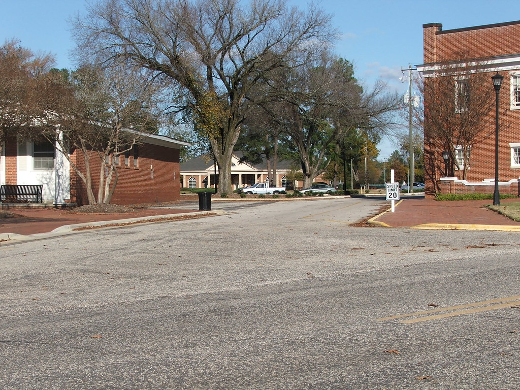 Memory Lane, Campbell University Dennis Brinson Flickr
