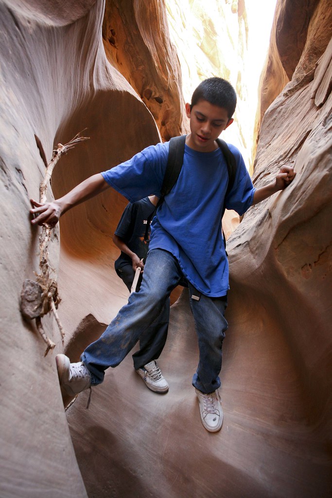 090805 166 Steven Walters Flickr