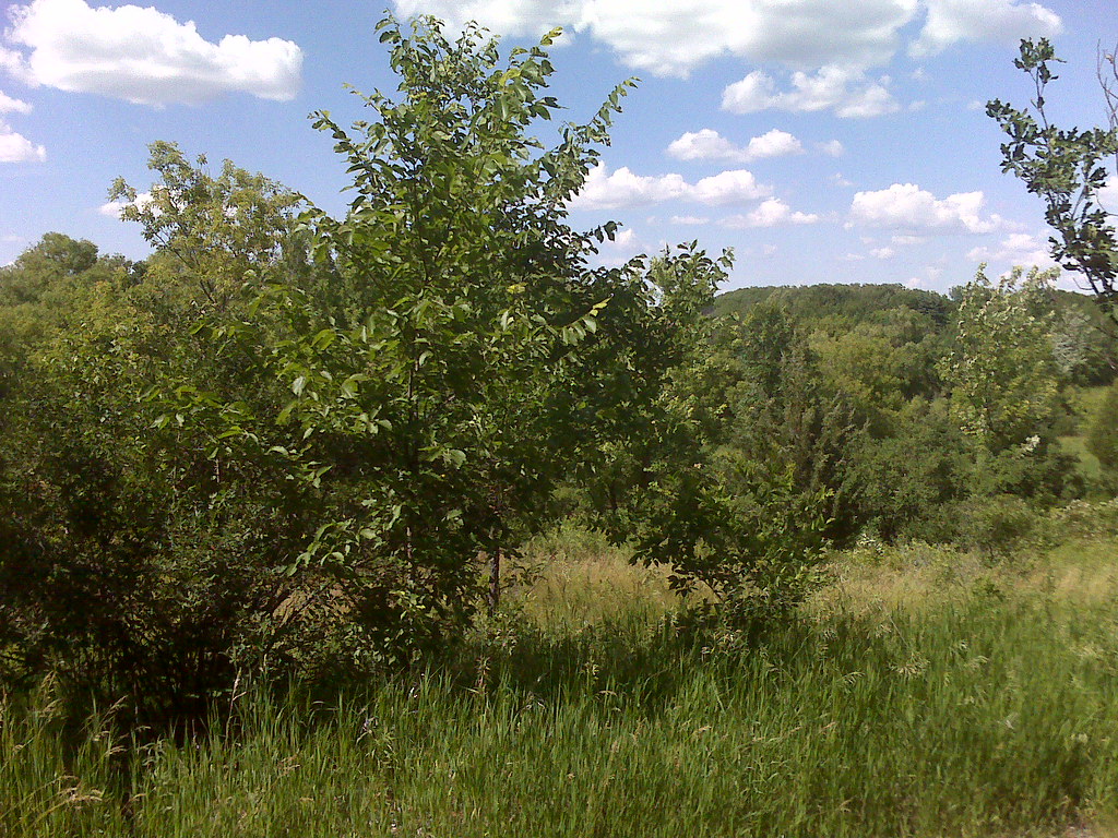 View Camping at Sumac Knolls in Hyland Lake Regional Park Flickr