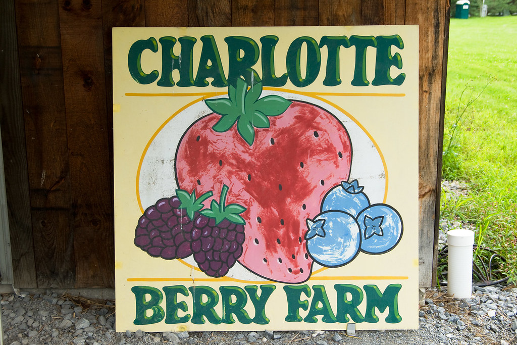 Charlotte Berry Farm Charlotte Berry Farm Charlotte, VT. Tom Hammer