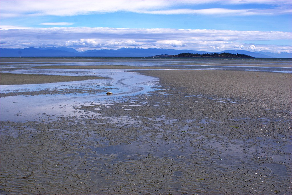 Nanaimo A shot of the beach with the tide out, by Nanaimo … Flickr