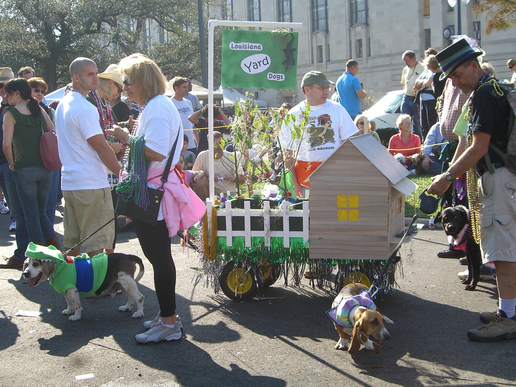 barkus 2009 louisiana yard dogs love the alligator dog! … Flickr